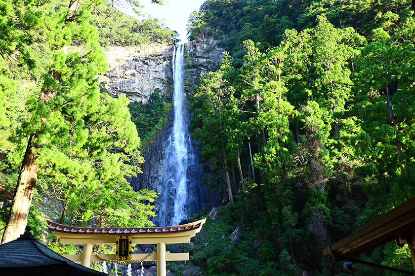 写真提供：公益社団法人 和歌山県観光連盟